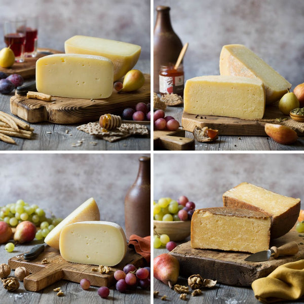 Pecorino Tasting (4 packs)